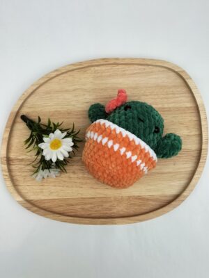 Fluffy Cactus (donkergroen-koraal met oranje pot)