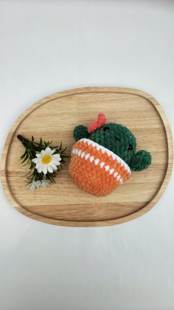 Fluffy Cactus (donkergroen-koraal met oranje pot)