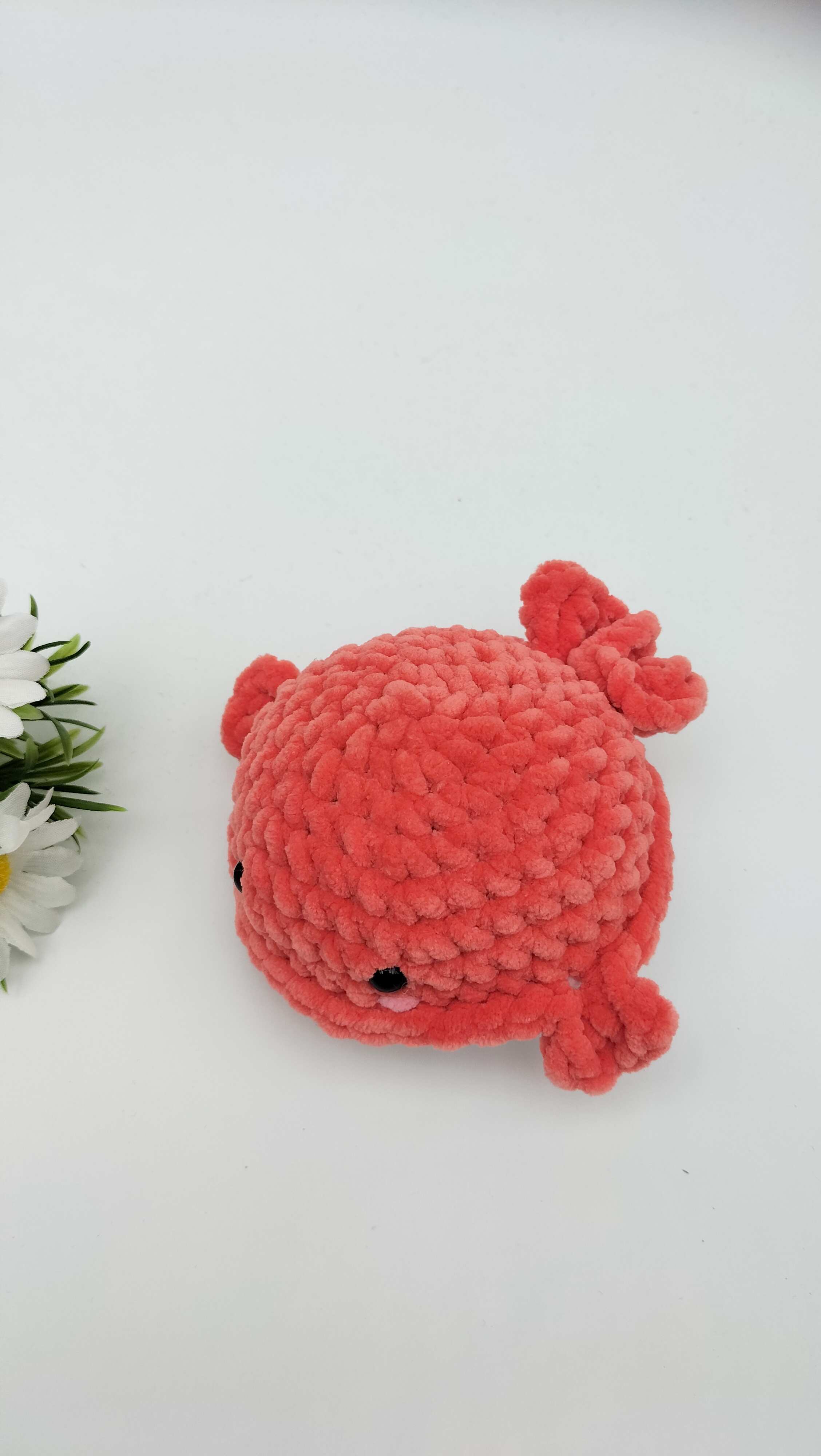 Knuffel walvis (koraal)