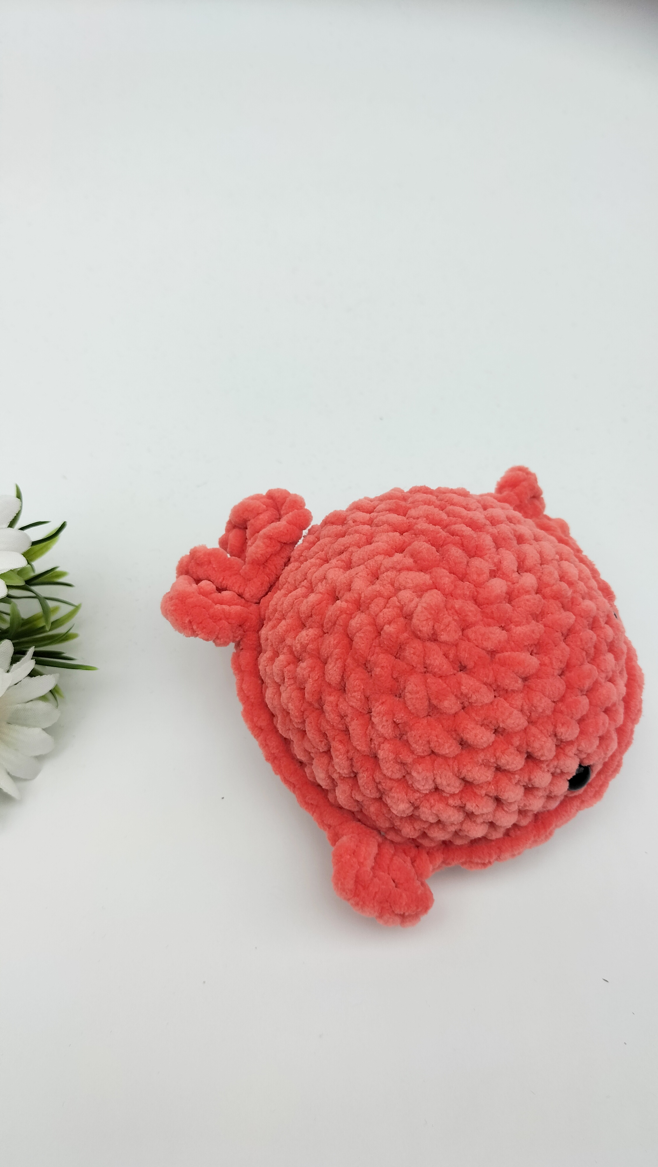 Knuffel walvis (koraal)