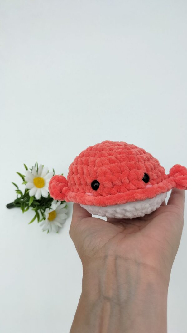 Knuffel walvis (koraal)