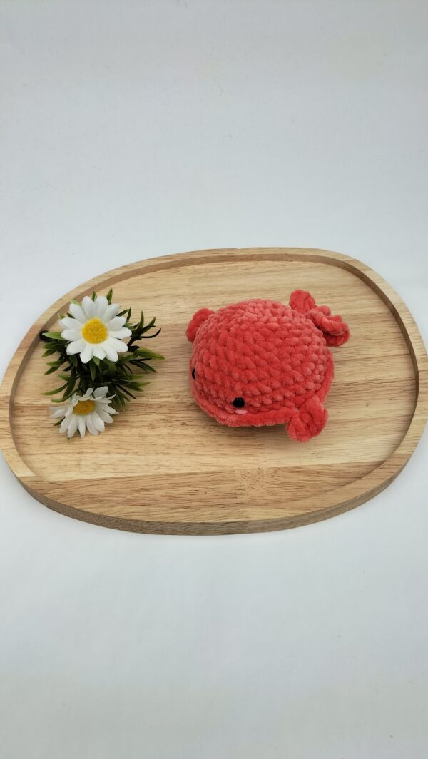 Knuffel walvis (koraal)