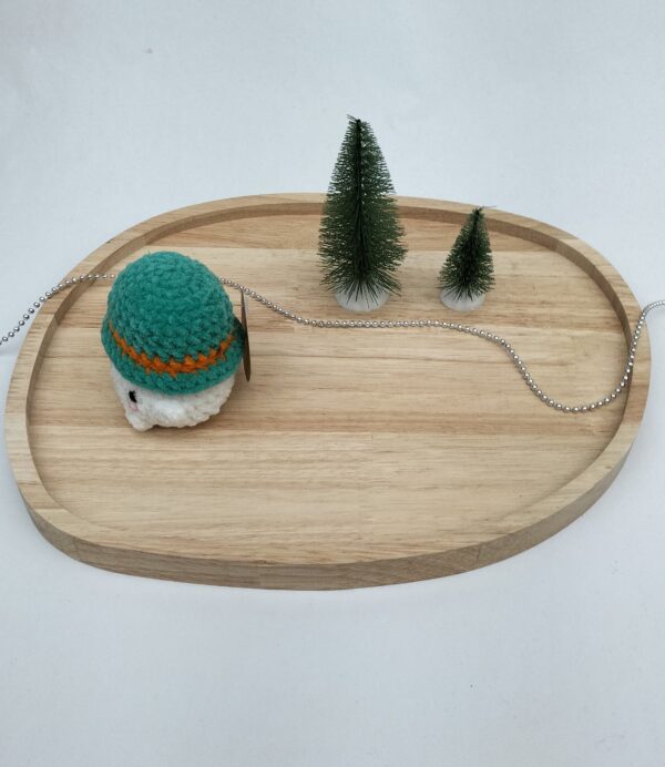 IMG20251103155210 Knuffel mushi hoed (turqouise-oranje)