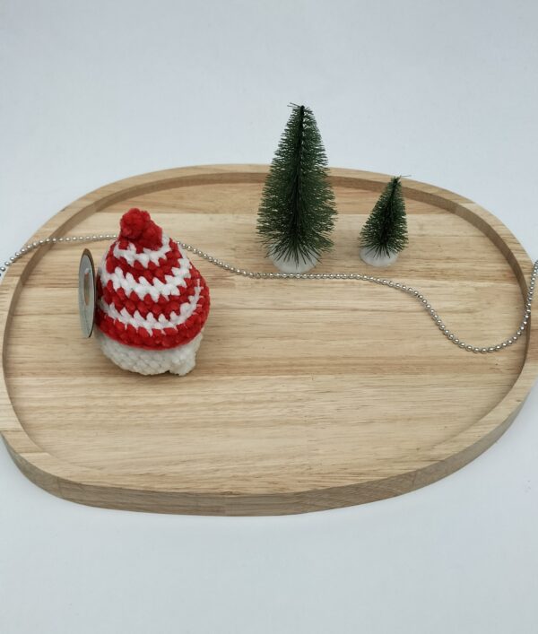 IMG20251103155855 Knuffel mushi met muts klein (rood-wit)